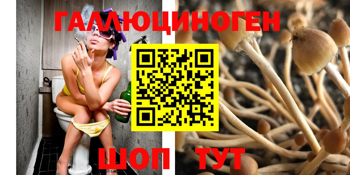 Юрга  Галлюциногенные грибы Psilocybe  хочу   Вход с VPN  Галлюциногенные грибы MAGIC MUSHROOMS 